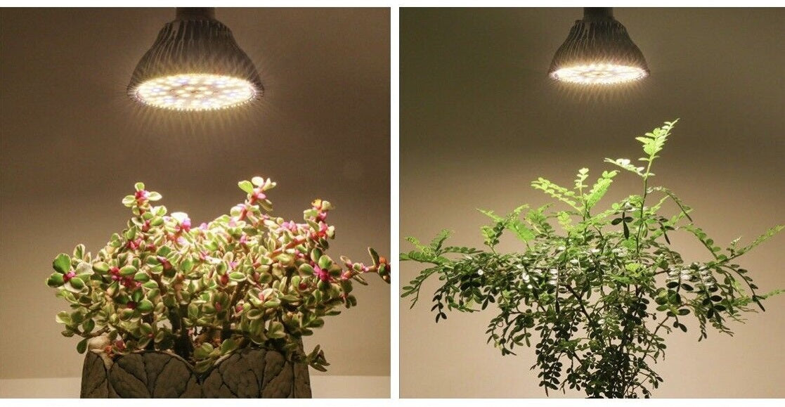 LED pære for blomstring og modning, Colere.Pro 18