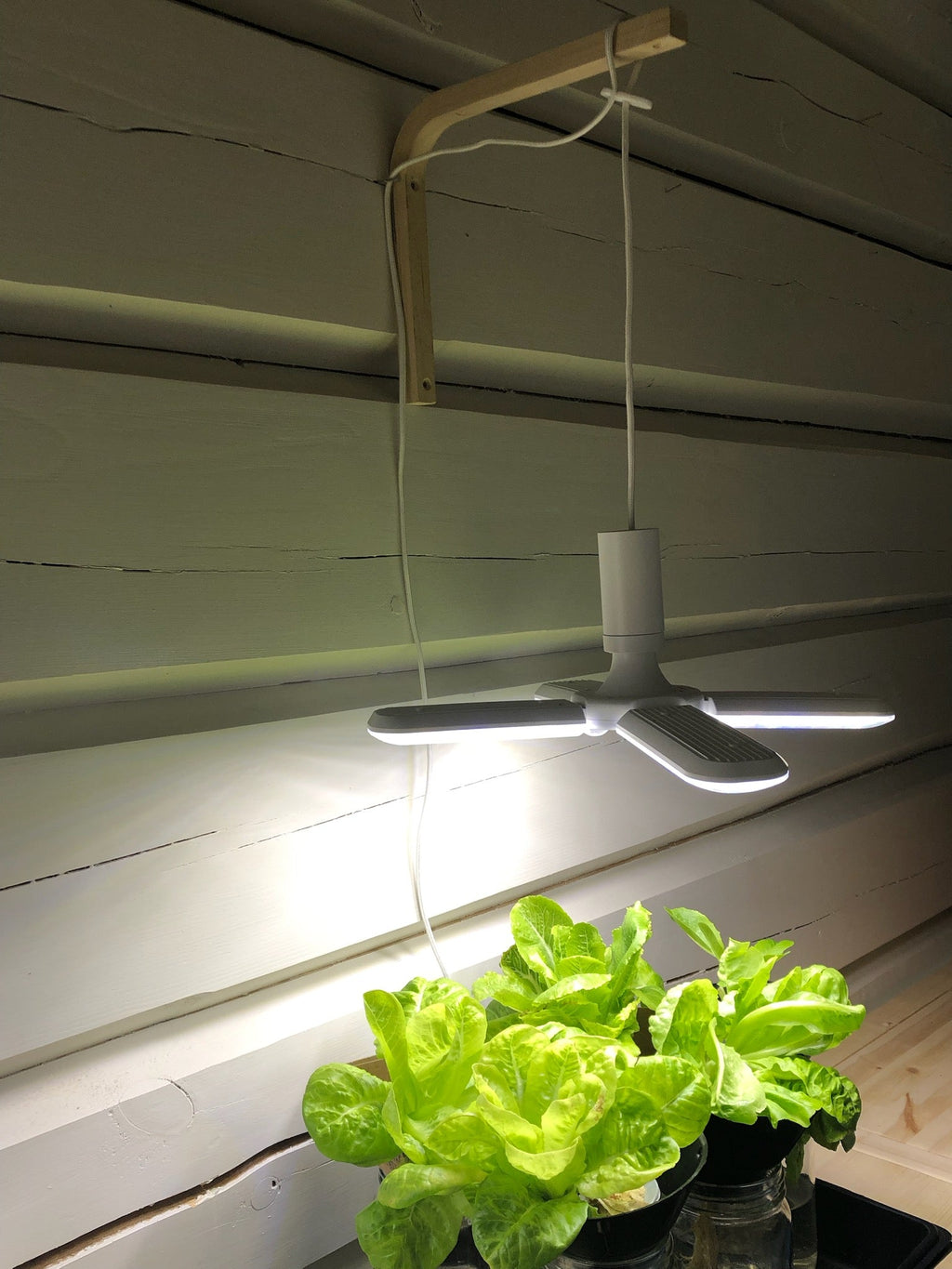 3 stk Colere.Pro 04 LED - gratis frakt