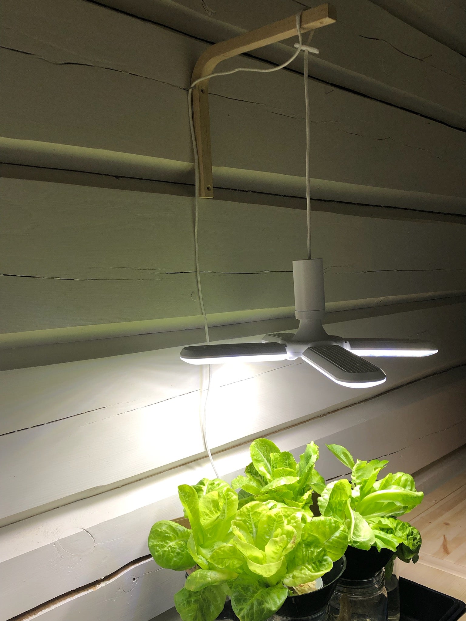 3 stk Colere.Pro 04 LED - gratis frakt