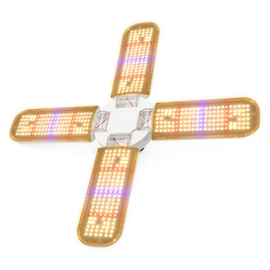 3-pakning Colere.Pro 04 LED - ordinær pris 2.097,-