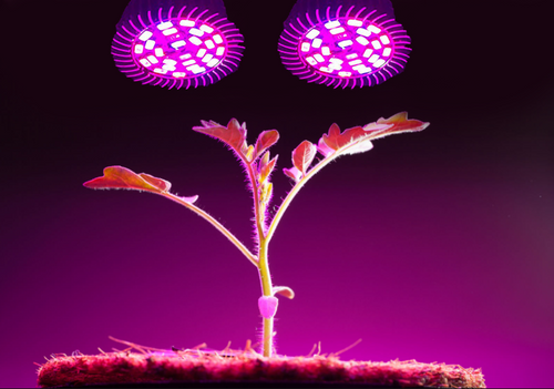 Full spektrum LED vekstlys med 28 dioder for E14 sokkel. Colere.Pro-02