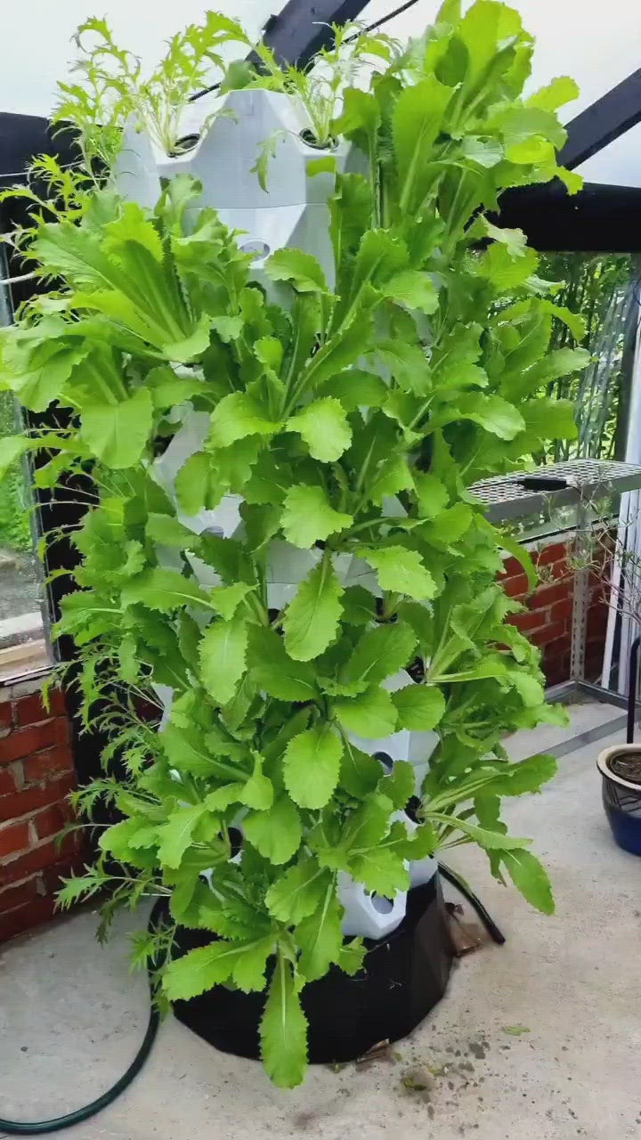 Hydrotårn