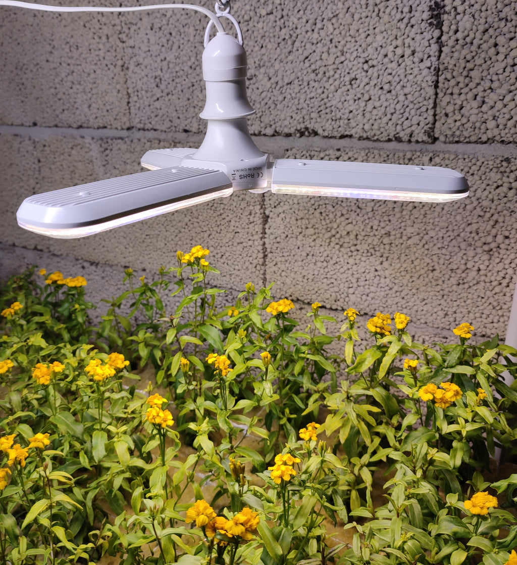 LED vekstlys med 282 PPFD ved 20cm. 30 watt. Colere.Pro 03