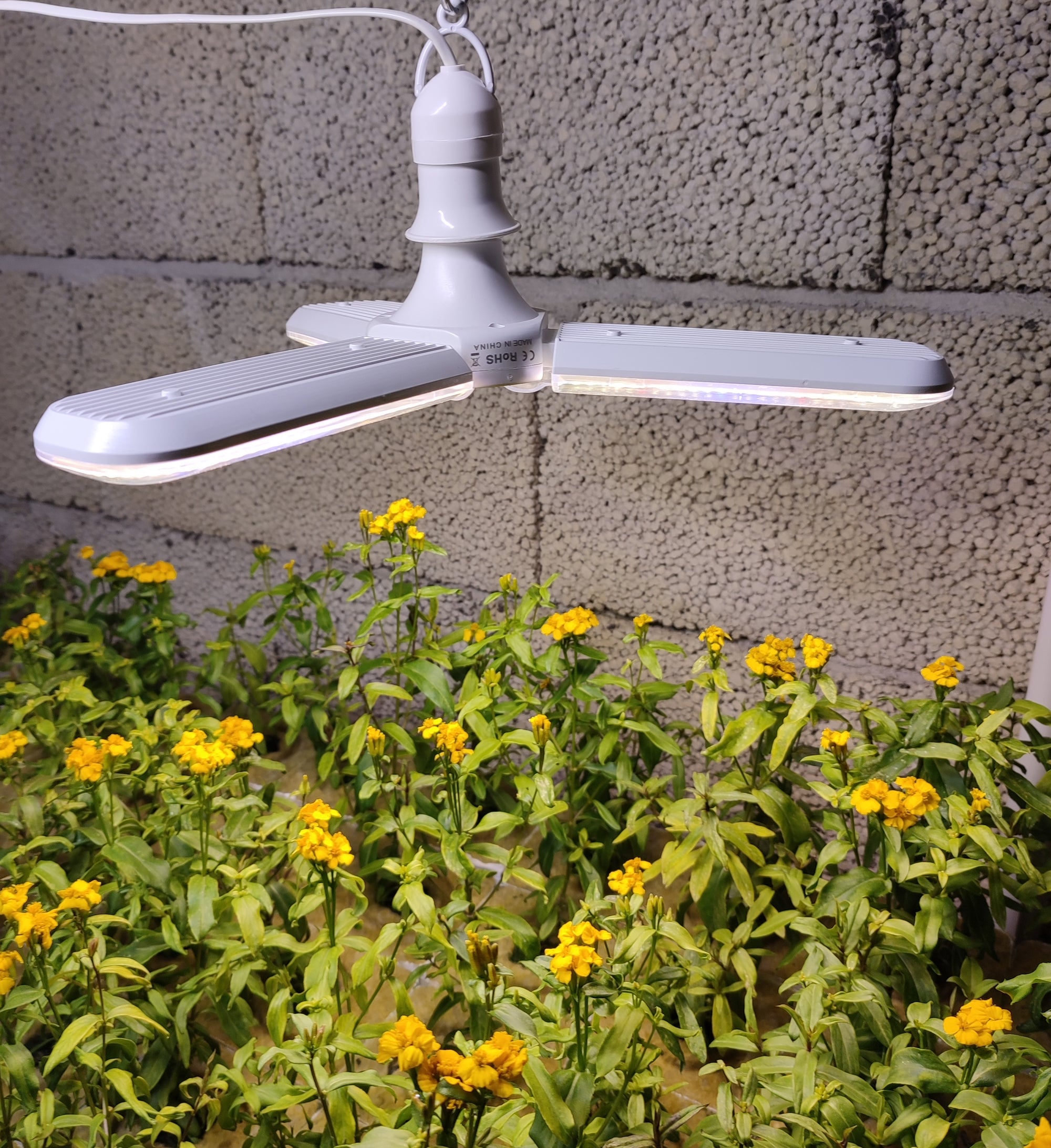 LED vekstlys med 282 PPFD ved 20cm. 30 watt. Colere.Pro 03